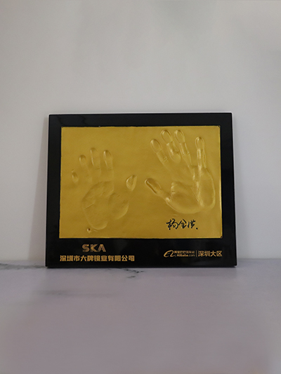 旺财28-深圳大区SKA证书